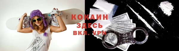 Альфа ПВП Алзамай