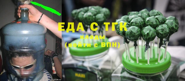 прущие грибы Гусиноозёрск