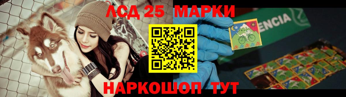 ЛСД экстази  Вход с VPN  Новозыбков  LSD-25 экстази ecstasy  LSD-25 экстази ecstasy 